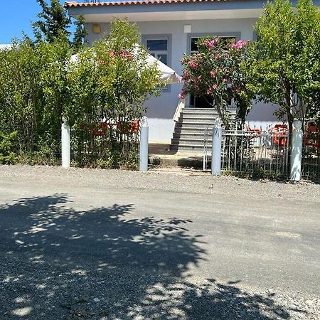 Guest House Andersoni Dhoma Plazhi Andersoni Shen Ded Gjoni Экстерьер фото